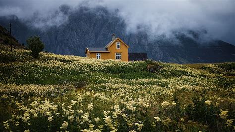 Beautiful Cottage And Field With Flowers In Background Of Clouds