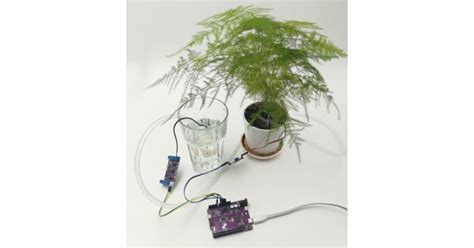 Automatic Plant Watering System