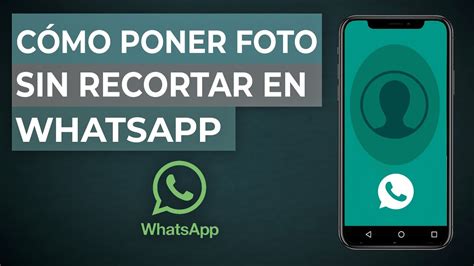 Templado Elasticidad Cumplimiento A Recortar Foto Whatsapp Acantilado