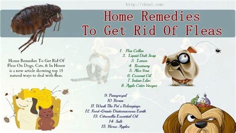 Home Remedies For Better Health And Cure Your Problems Naturally Home