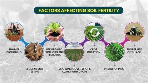 How To Improve Soil Fertility Tips Methods And Importance