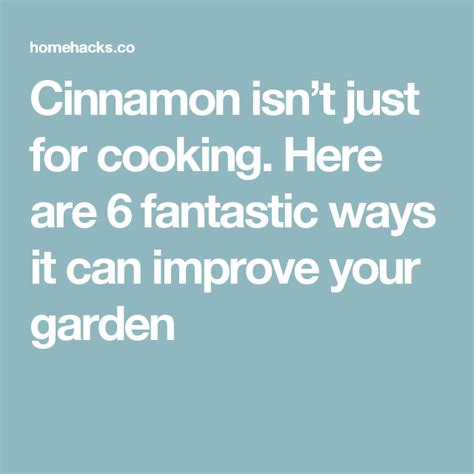 Cinnamon Isnt Just For Cooking Here Are 6 Fantastic Ways