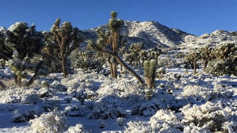 Snowfall Snow In The Desert Snow In The Desert Landscapephotography