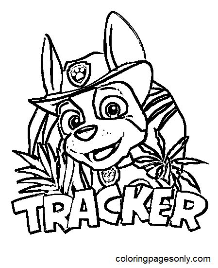 Tracker Head Kleurplaten Tracker Paw Patrol Kleurplaten Kleurplaten Images