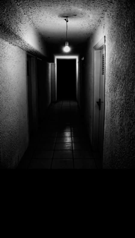 Dark Basement Hallway Backdrop Photo Pie