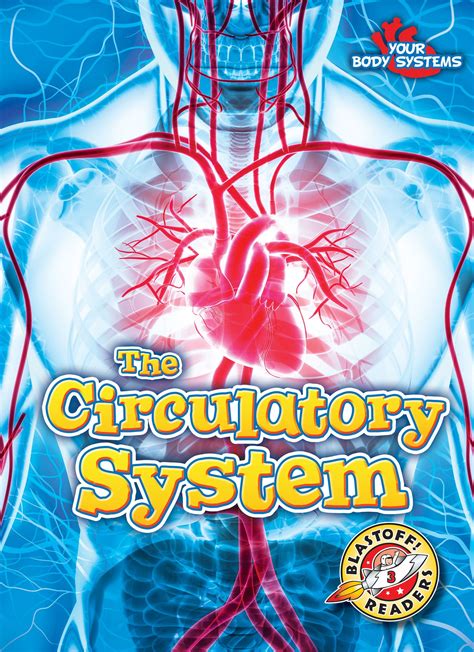 Your Body Systems The Circulatory System Hardcover
