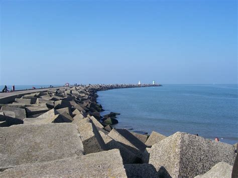 Om deze reden werd in augustus 2015, bij scheveningen geadviseerd niet te zwemmen vanwege de aanwezige zeevonk. Free Scheveningen Stock Photo - FreeImages.com