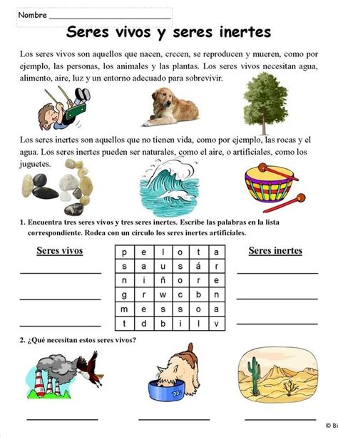 Spanishliving And Nonliving Seres Vivos Y No Vivos From Mrs G Dual