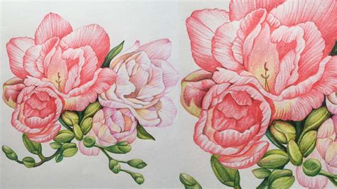 Flowers Drawing In Color Pencils Color Pencil Drawing Youtube