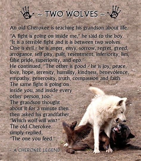 Dont Feed The Bad Wolf Wolf The One You Feed Wolf Quotes