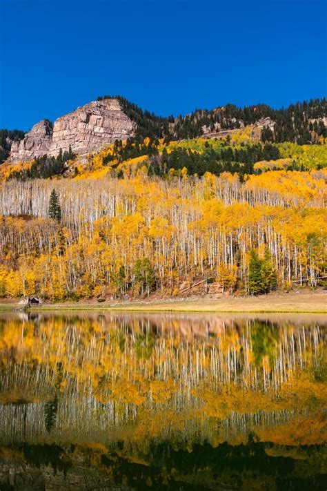 Aspen Trees With Fall Colors Reflecting In A Still Mountain Lake Stock