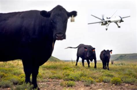 Drones For Cattle Farming Priezor Com