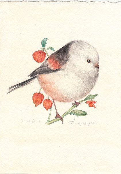 Диалоги Watercolor And Ink Watercolor Paintings Birds Painting Art