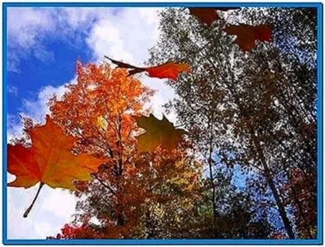 Screensaver 3d Falling Leaves Download Free