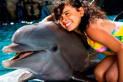 Ocean World Marysol Tours Eine Attraktion Für Ihren Urlaub In Puerto Plata