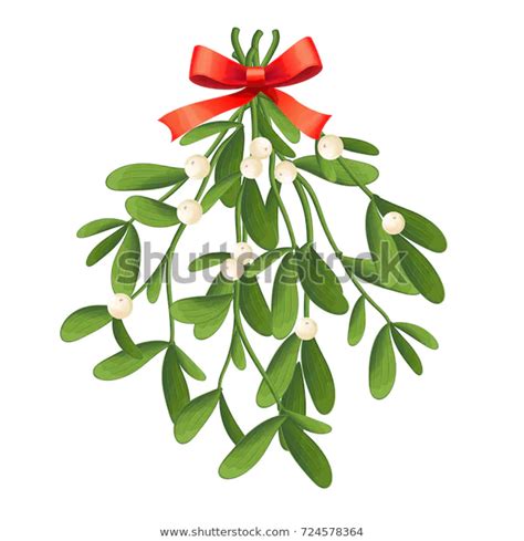 Branch Mistletoe Berries Red Bow Bouquet Stock Vector Royalty Free