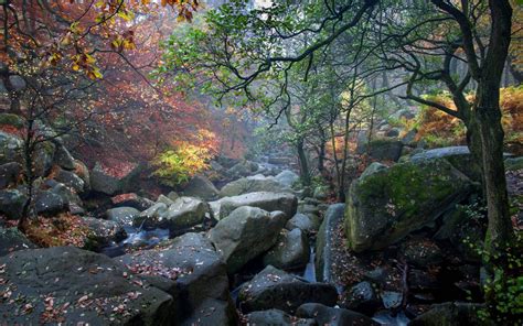 Nature United Kingdom Autumn Dol Stream Rocks Rocks Forest Trees Autumn