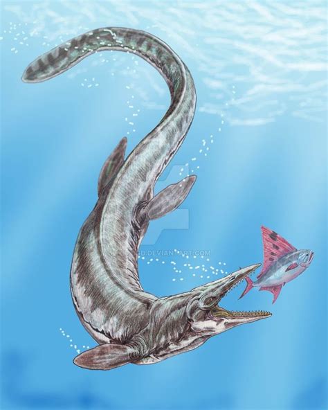 Tylosaurus Proriger Prehistoric Wildlife Prehistoric Animals