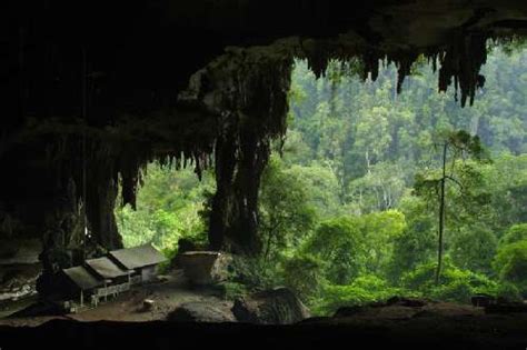 Niah Cave Miri Niah National Park Sarawak Tourist And Travel Guide