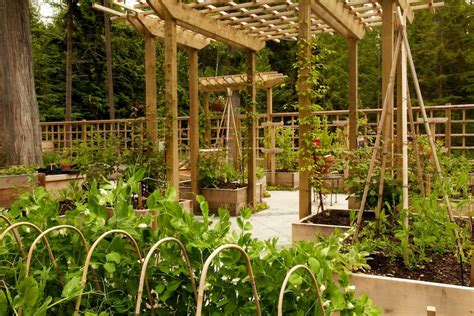 Raised Bed Garden Trellis Garden Design