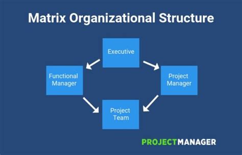 Matrix Organizational Structure A Quick Guide Hot Sex Picture