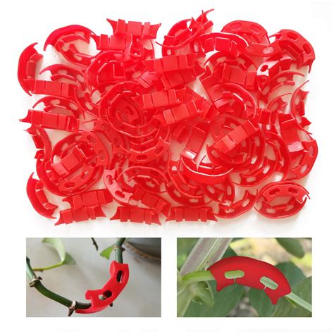 Buy Zyp 100 Pcs Tomato Branches Bending Clips Trainer For Low Stress