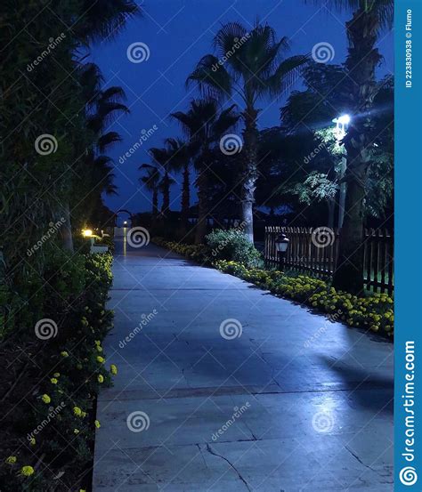 Beautiful Summer Night Landscape Stock Photo Image Of Light Lanterns