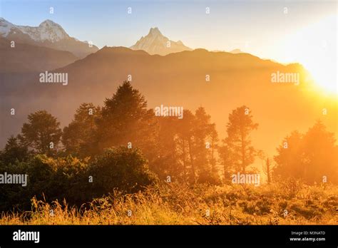Sunrise At Poon Hill In Himalayas With A View Of Annapurna Range Nepal
