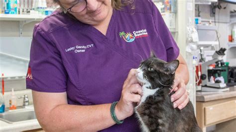 Job opportunity: How to become a veterinary technician