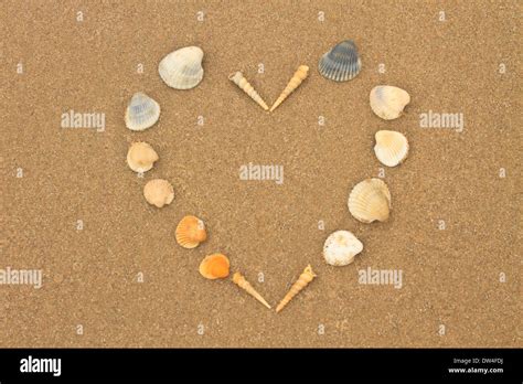 Love Heart Made Of Shells On Beach Background Concept Image Stock Photo