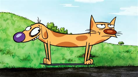 Wallpaper Catdog Animation Cartoon Animated Series Cats Dog