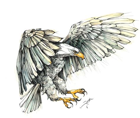 Eagle On Behance Eagle Drawing Eagle Tattoos Tattoo Drawings
