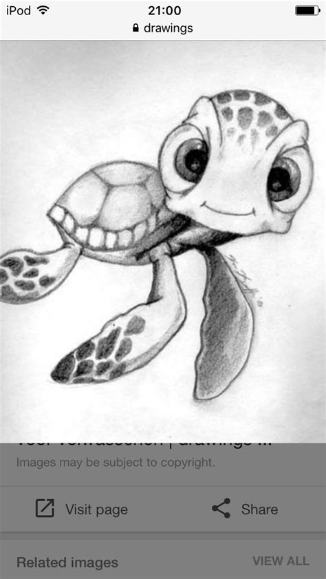 8 Best Turtle Drawings Images On Pinterest Pencil