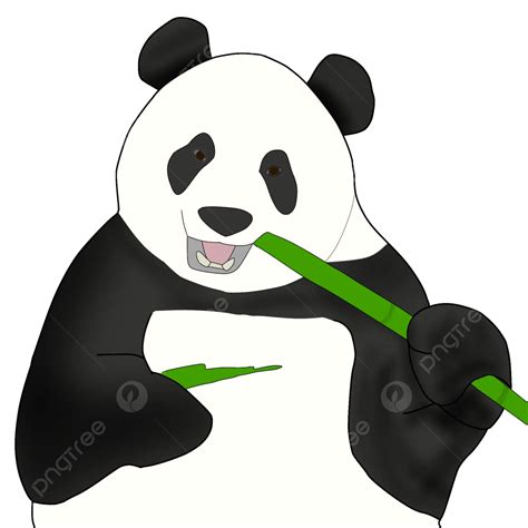 Panda Eating Bamboo, Panda, Eat, Bamboo PNG Transparent Clipart Image
