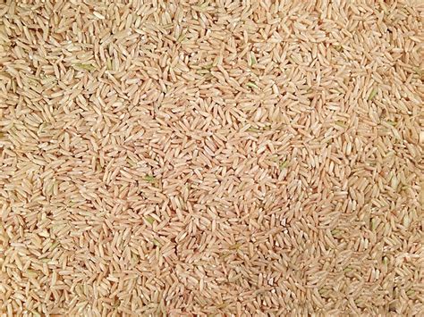 Organic Long Grain Brown Rice Grain Place Foods