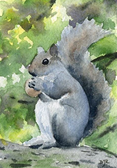Squirrel Painting Squirrel Art Watercolor Animals Original