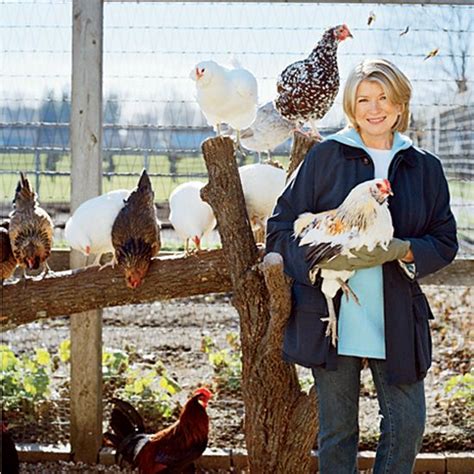 Emeril Lagasse And Martha Stewart On Raising Chickens