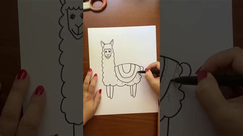 How To Draw A Llama Youtube