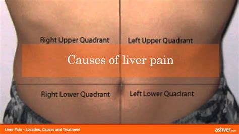 Most of the liver's mass is located on the right side of the body where it descends. Liver Pain - Location, Causes and Treatment - YouTube