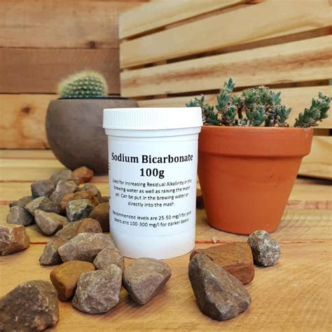 Sodium Bicarbonate Baking Soda G Cactus Craft