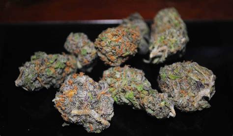 How To Grow Purple Cannabis Buds Or Pink Grow Weed Easy