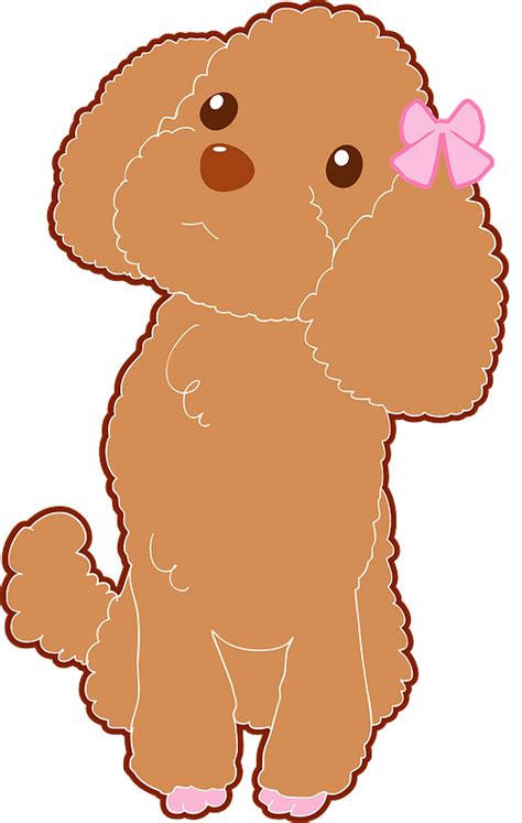 Toy Poodle Clipart Free Download Transparent Png Creazilla
