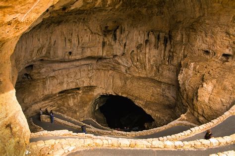 A Tree Falling Carlsbad Caverns Natural Entrance Tour