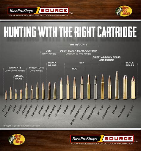 Hunting Rifle Cartridge Chart My Xxx Hot Girl