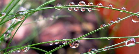 Best Nature Dew Drops Dew Drops Amazing Nature Nature