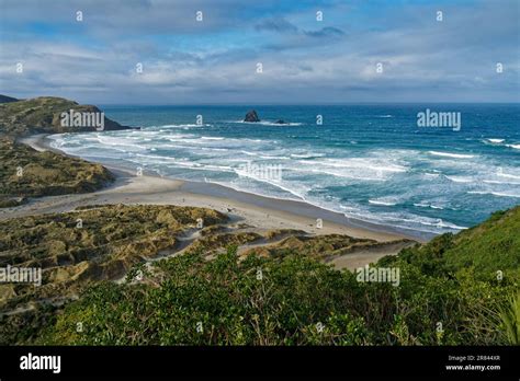Looking East Over Sandfly Bay Otago Peninsula Dunedin South Island Aotearoa New Zealand