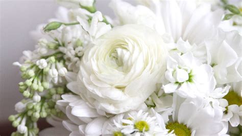 45 Most Beautiful White Flowers In The World That Are