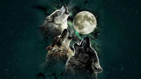 Howling Wolves Animated Wallpaper Youtube