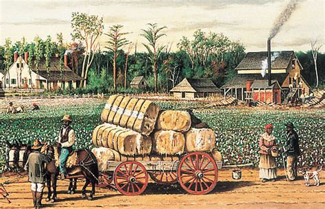 Antebellum Cotton Plantation