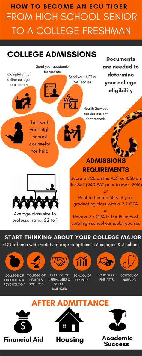 We Hope That This Infographic Will Help Freshman Navigate The College Application Process To